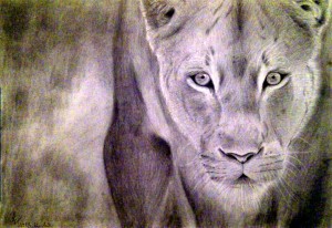 oroszlán rajz