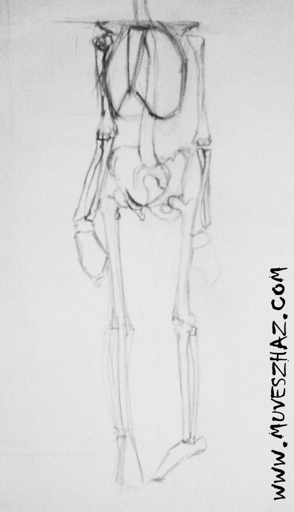 ember rajzolása - csontváz
