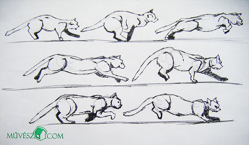 macska rajzolása 2