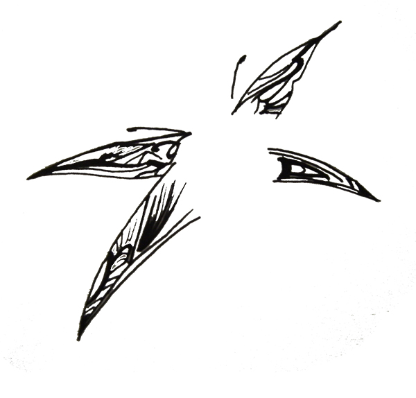 mesefigurák rajzolása - tündészárny 2