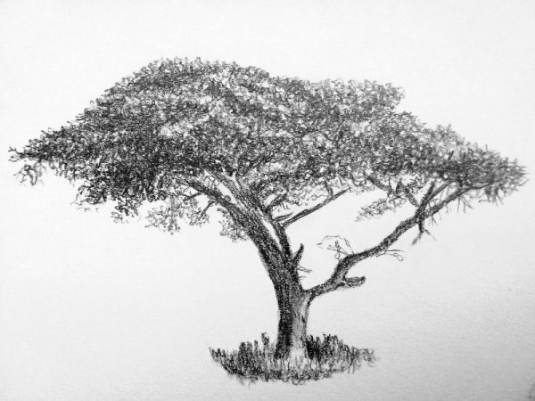 A perspektíva jelentősége a rajzolásban - Művészház.com – jobb ...