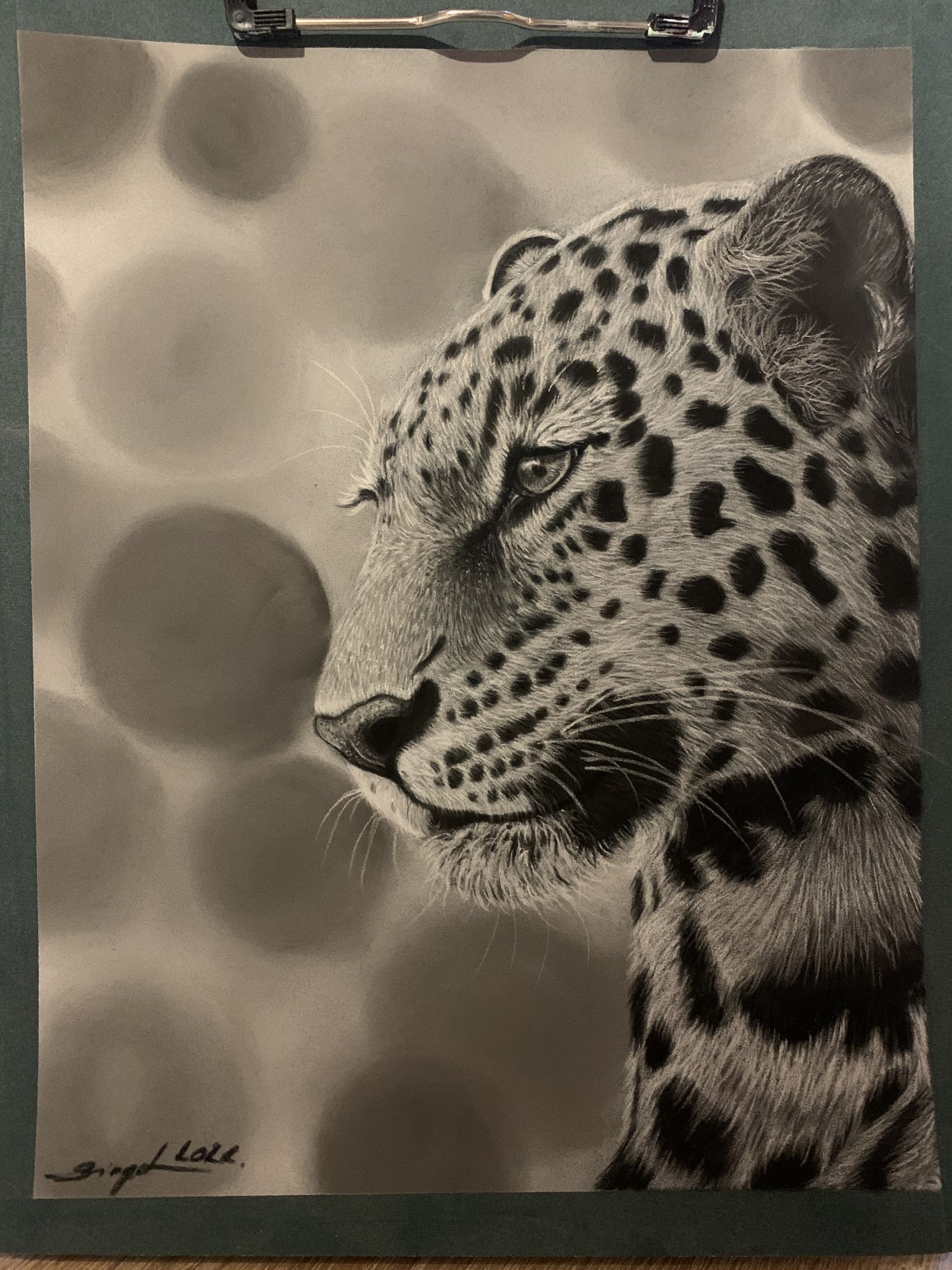 Ezüst Leopard